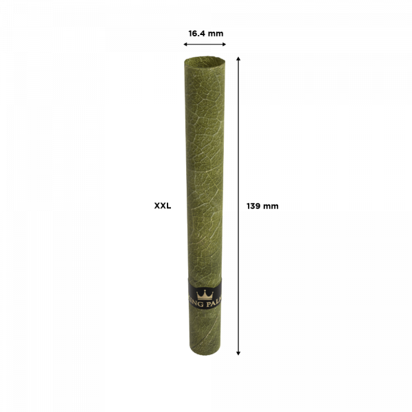 King Palm 5 XXL Rolls